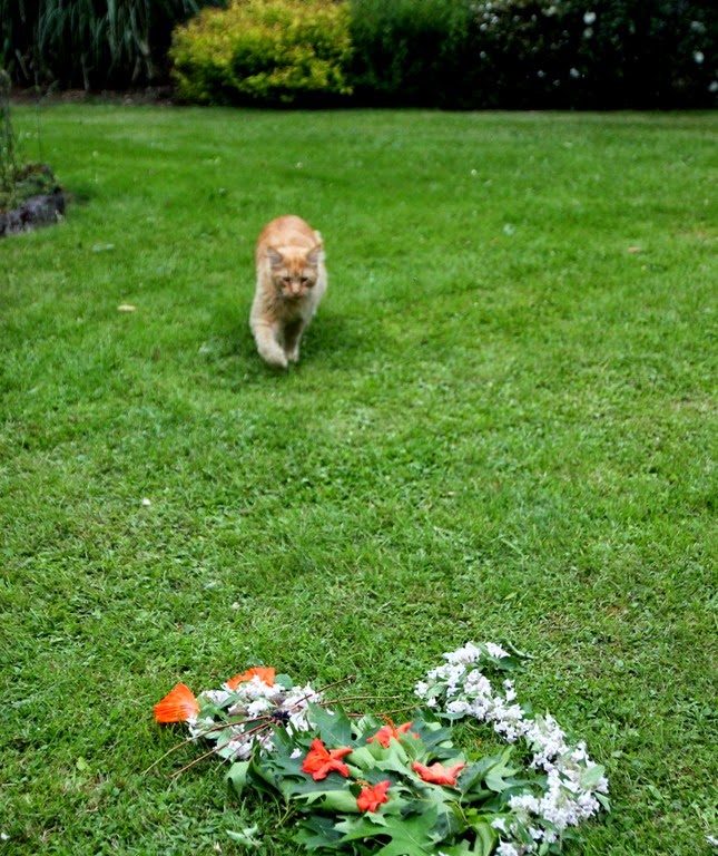 [IMG_7552%255B4%255D.jpg]