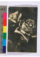 clip_image072 clip_image072