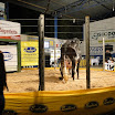 superleite2011_dia1507_198.JPG