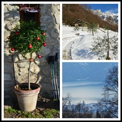 PicMonkey Collage1 PicMonkey Collage1