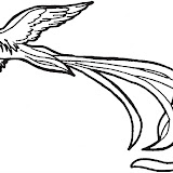 Quetzal-1.jpg