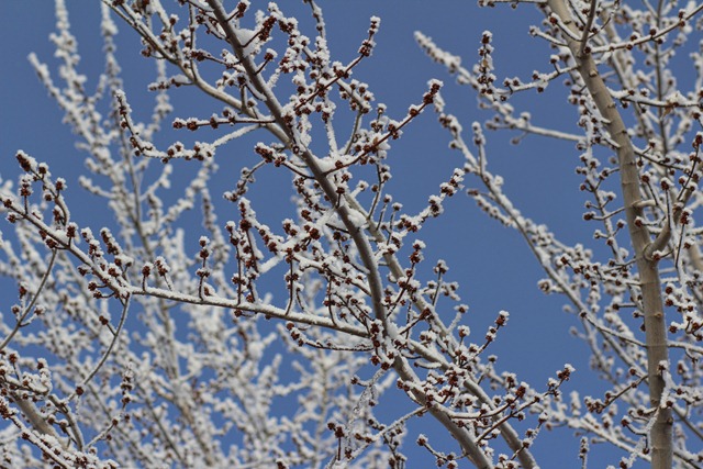 [_MG_5300_edited-1%255B3%255D.jpg]