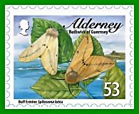 alderney c alderney c