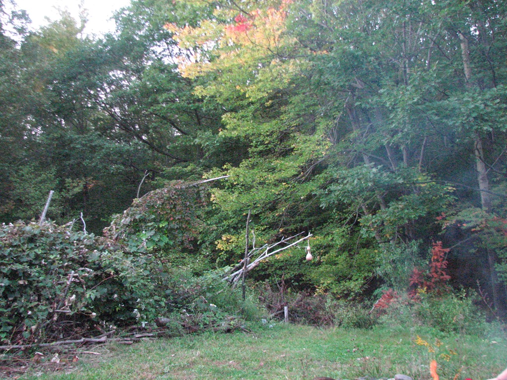 [IMG_7608%255B10%255D.jpg]