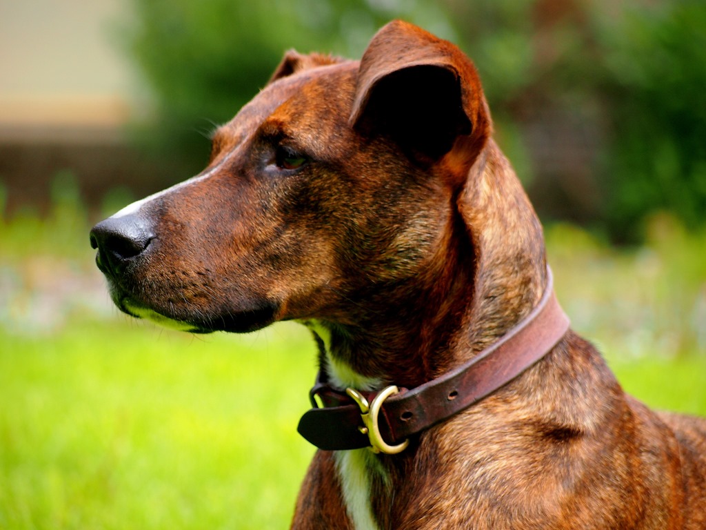 [23%2520May%25208%255B3%255D.jpg]