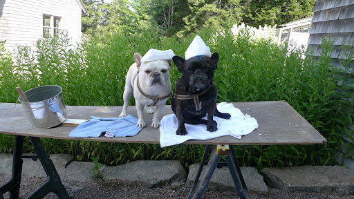 So then, he decided to make little sailor hats for us by folding paper towels!