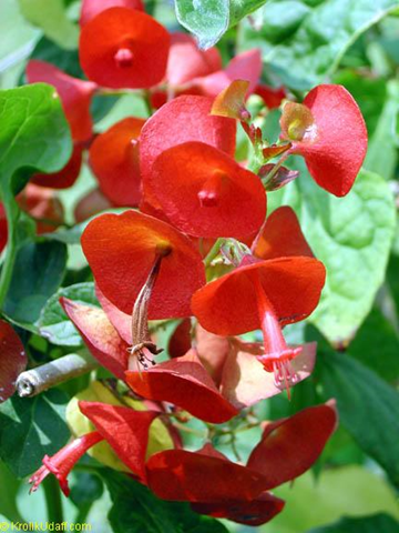 [image%255B45%255D.png]