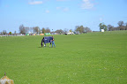 An early arrival taking advantage of the glorious weather.