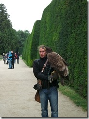 IMG_1830 IMG_1830