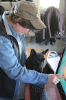 Wow, Betsy!  That's fascinating - it's a touch screen!