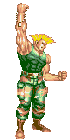 guile-win-superturbo-noanim