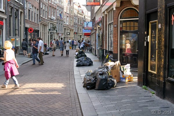 IMG_7310 IMG_7310