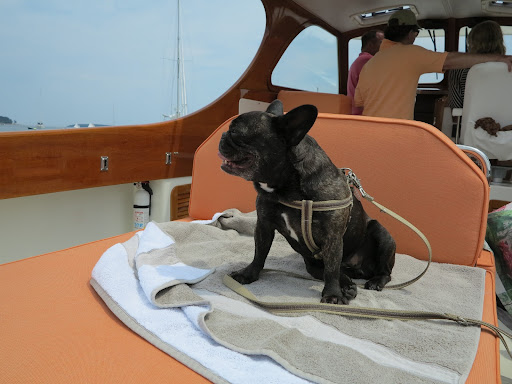 If you think about it, the invention of sailboats had a huge impact on the development of civilization!  Sailboats helped people travel distances for the purpose of exploration, trade, and fishing!