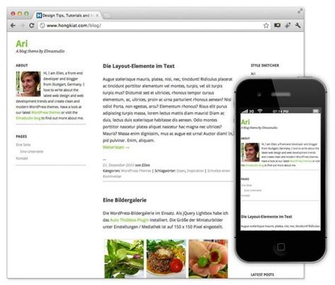 ari-theme-wordpress ari-theme-wordpress
