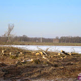 P1020566.jpg