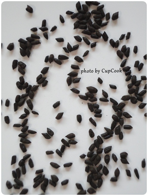 決明子介紹 Cassia Seed(9)