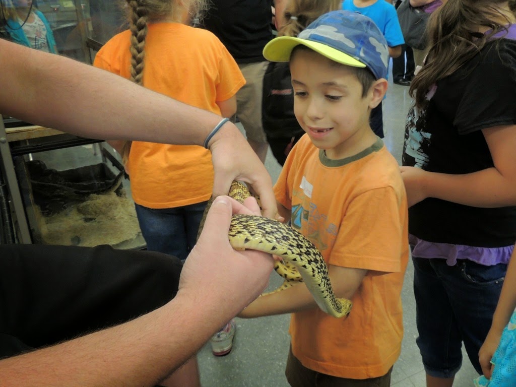 [DSCN9384%255B3%255D.jpg]