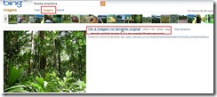 imagens-papel-parede-bing imagens-papel-parede-bing