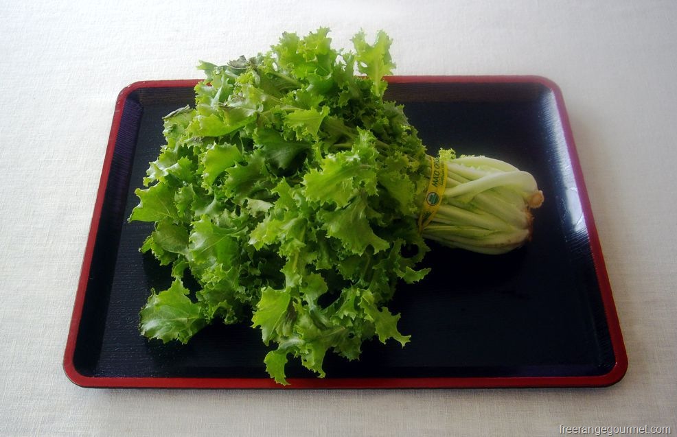 [endive%255B8%255D.jpg]