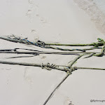 IMG_8812.JPG