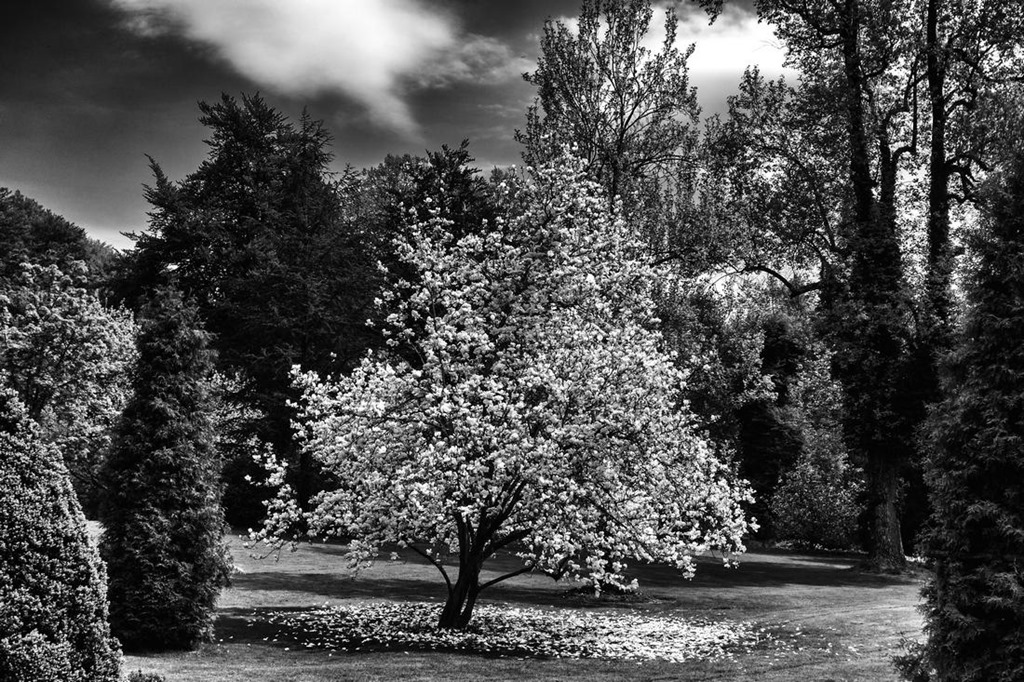 [2013-04-30-10-38-20-28654-Edit%255B4%255D.jpg]