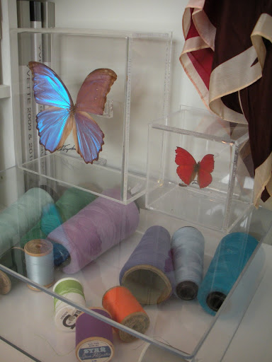 I love these vintage mounted butterflies. You can find similar versions by Christopher Marley at formandpheromone.com. Below them are various spools of thread that I use for sewing and for color influence.