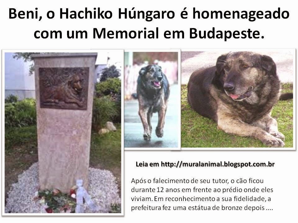 [Beni%2520o%2520Hachiko%2520H%25C3%25BAngaro%2520%25C3%25A9%2520homenageado%2520com%255B3%255D.jpg]