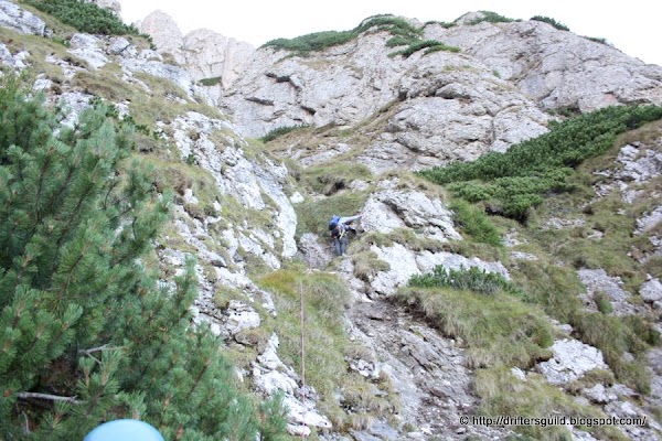 66.JPG