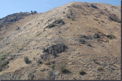 DSC_0995 DSC_0995