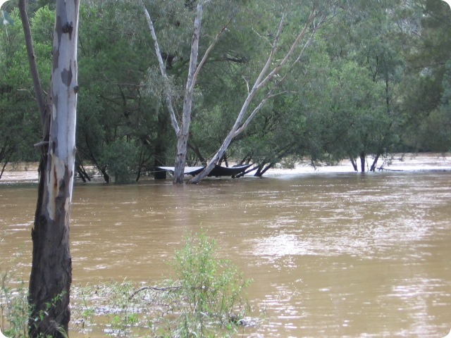 Gwydir River Campground - the flood develops - Taken by Mal & Kerry