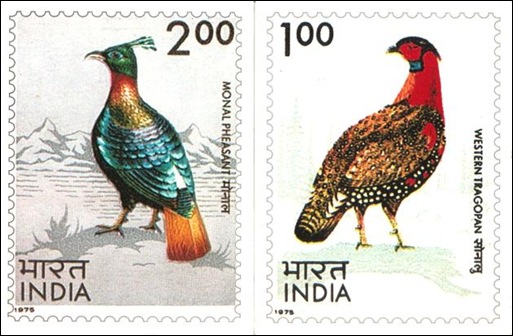 Chinar-2011-Stamp Cards 003