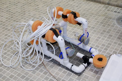 [2011_0507_SeaPerch-92%255B2%255D.jpg]