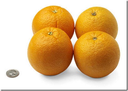 31-oranges[1]