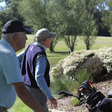 IMG_9024.JPG