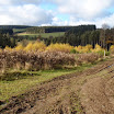 PB110033.jpg