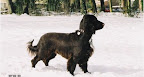 Sharon in de sneeuw