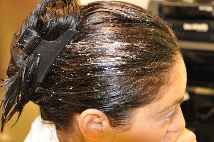 DSC_1772 DSC_1772