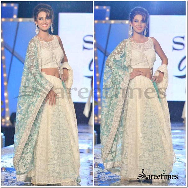 Shaina_NC_Sarees (5)