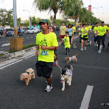 Pet Express Doggie Run 2012 Philippines. Jpg (83).JPG