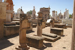 900-0094_IMG.JPG