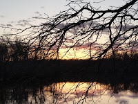 DSC03230.JPG
