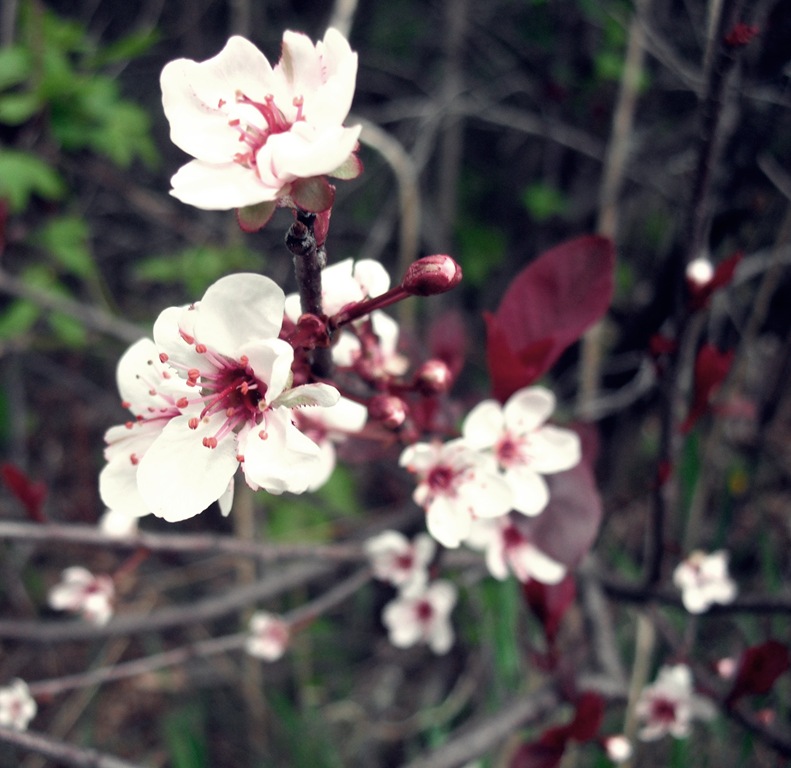 [0081%255B7%255D.jpg]