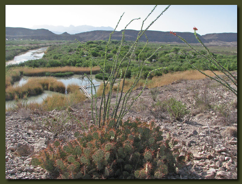 Nature walk at Rio Grande village