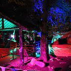 DSC_8538-2.jpg