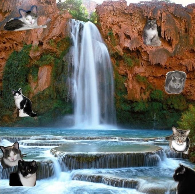 [KweeCat_Waterfall%255B3%255D.jpg]