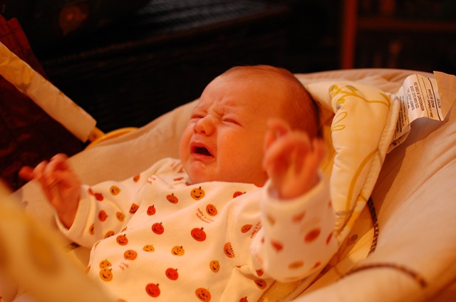 [DSC_92032.jpg]