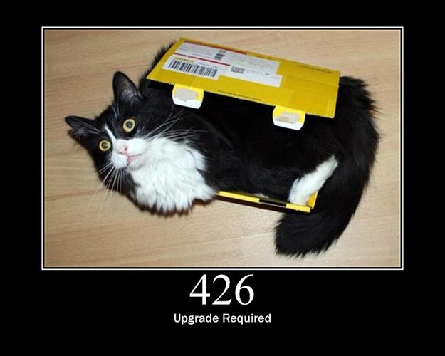 [HTTP-Status-Cats-19%255B2%255D.jpg]