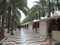 IMG_8429 IMG_8429