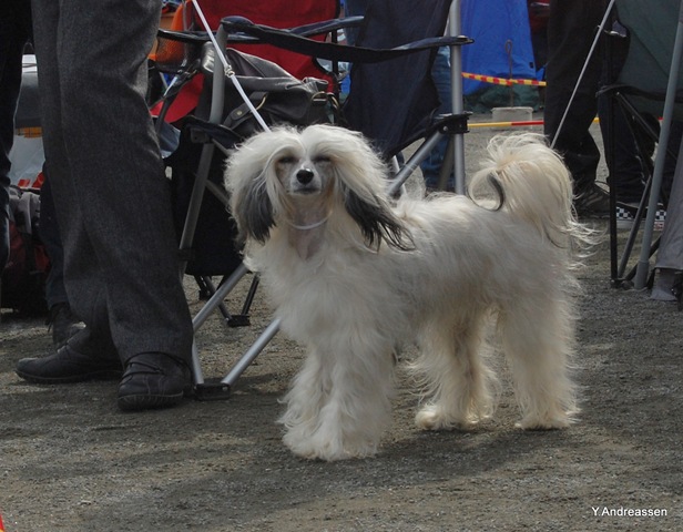 [DSC_3839%255B3%255D.jpg]