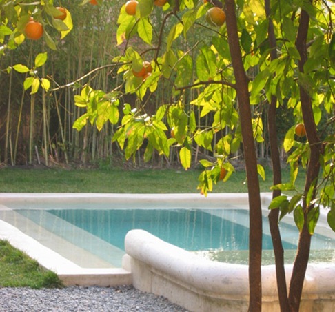 11-piscine-et-oranger 11-piscine-et-oranger